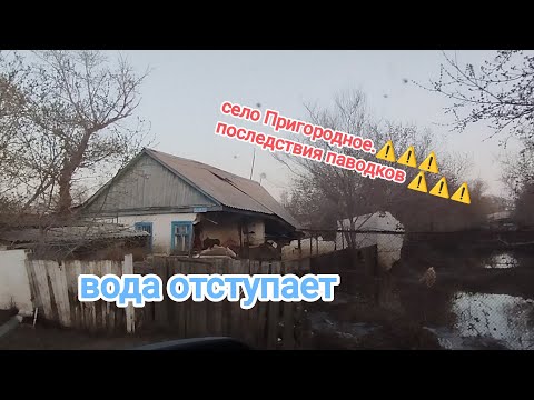 Видео: ЖЕСТЬ!!!село Пригородное.Видеообзор последствий паводков.КАК ЭТО БЫЛО.