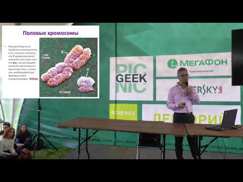 Видео: Дмитрий Исаев: "Как изменится наш пол в будущем?"