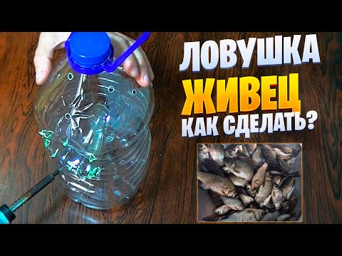 Видео: КАК ПОЙМАТЬ ЖИВЦА. ЛОВУШКА ДЛЯ ЖИВЦА ИЗ БУТЫЛКИ