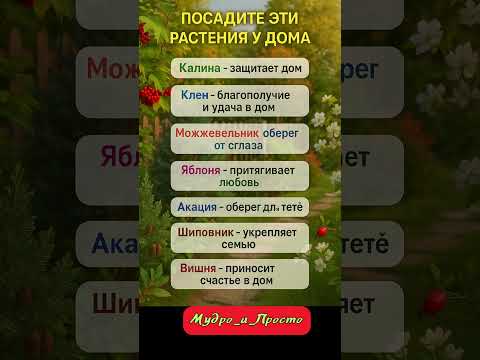 Видео: посадите эти растения у дома