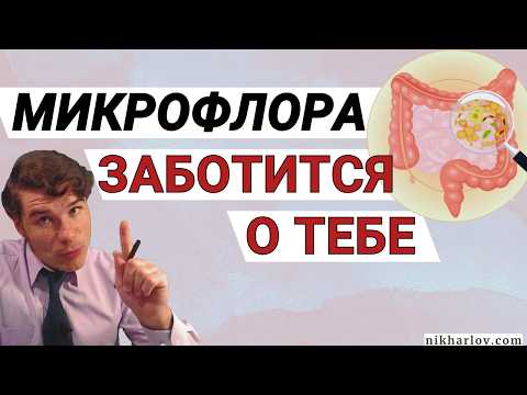 Видео: Шокирующее открытие: роль микрофлоры кишечника в болезнях. Как микробиом заботится о человеке.