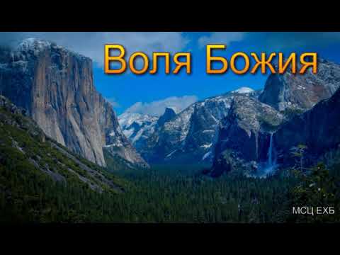 Видео: "Воля Божия". Д. Таскаев. МСЦ ЕХБ.