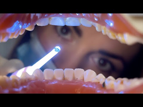 Видео: [ASMR] Осмотр у стоматолога и чистка зубов 🦷