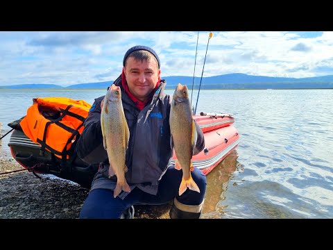 Видео: ЛЕСКА ЗВЕНИТ, ПОДСАК ТРЕЩИТ!!! ХАРИУС ПРОСТО СДУРЕЛ!!! ЧАСТЬ 2