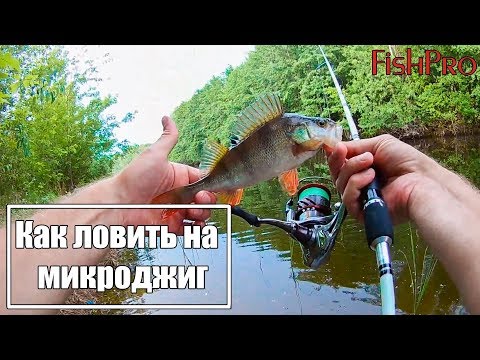 Видео: Как ловить на микроджиг 🎣 🎣