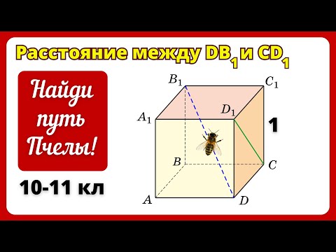 Видео: РАССТОЯНИЕ МЕЖДУ СКРЕЩИВАЩИМИСЯ!