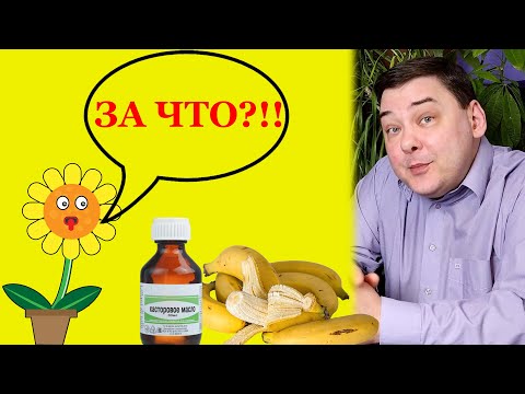 Видео: 5 народных подкормок для комнатных цветов.  Минутка юмора:)
