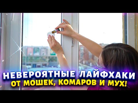 Видео: КОМАРЫ и МОШКИ  забыли дорогу в мой дом. Полезные советы, как избавиться от них навсегда.