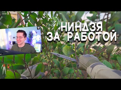 Видео: Хладнокровный НИНДЗЯ | Arena Breakout Infinite Recrent