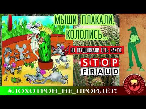 Видео: 🔥✅МЫШИ ПЛАКАЛИ, КОЛОЛИСЬ, НО ПРОДОЛЖАЛИ ЕСТЬ КАКТУС. (АВТОР - ЁЛКИНА). МОШЕННИКИ, АФЕРИСТЫ.