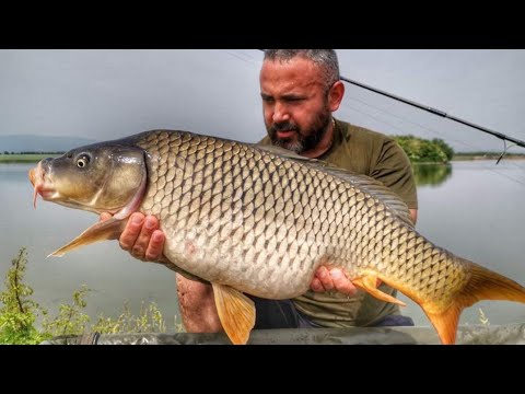 Видео: Язовир Борец 17.05.2020