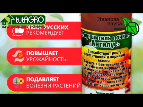 Видео: АНТИЛУС: ваши растения и урожай под защитой и охраной 24/7. Сенная палочка - мощная выручалочка.