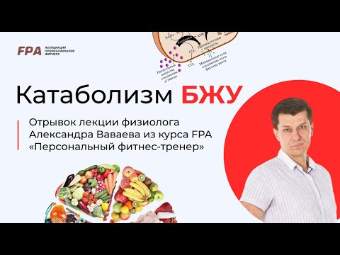 Видео: Катаболизм БЖУ | Александр Ваваев (FPA)