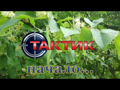 Видео: Лабаз-Самолаз, Тристенд Тактик (Первое впечатление)