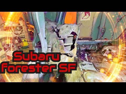 Видео: Синдром Субариста: Самый Дырявый Subaru Forester