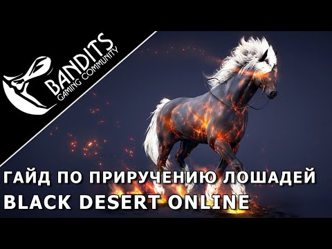 Видео: Гайд как приручать диких лошадей в Black Desert Online