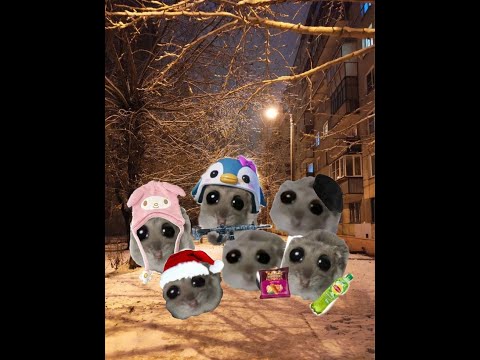 Видео: дурацкие бекрумы (