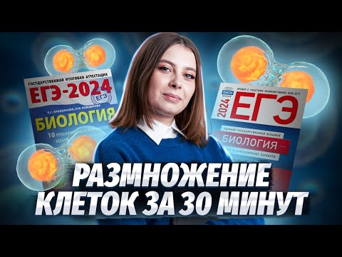 Видео: Митоз и мейоз за 30 минут | Биология ЕГЭ для 10 класса | Умскул