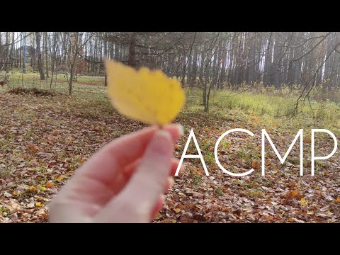 Видео: АСМР ASMR осенняя прогулка 💖🍂 тихий голос 