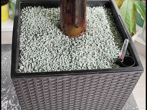 Видео: Обзор больших горшков для автополива