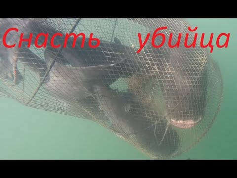 Видео: Дикий промысел Сома!Эта Снасть Уничтожает Сома!Подводная охота 2022