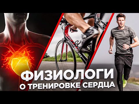 Видео: Как работает сердце спортсмена: роль сердца в видах спорта на выносливость