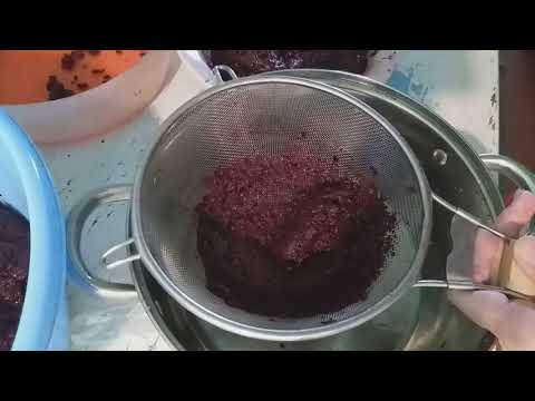 Видео: ЧЕРЕМУХА // КАК СМОЛОТЬ ЧЕРЕМУХУ БЕЗ КОСТОЧЕК // ВКУСНОЕ, АРОМАТНОЕ ВАРЕНЬЕ БЕЗ КОСТОЧЕК .