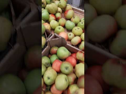 Видео: До работы пошла в магазин за 🥑 ну и цены посмотреть