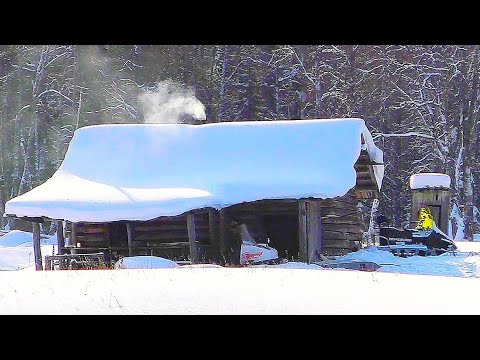 Видео: НОЧЁВКА В ОГРОМНОЙ ИЗБУШКЕ У РЕКИ / ОХОТА НА БОРОВУЮ ДИЧЬ С МЕЛКАШКОЙ / НАШЁЛ МНОГО РЯБЧИКА В ТАЙГЕ.