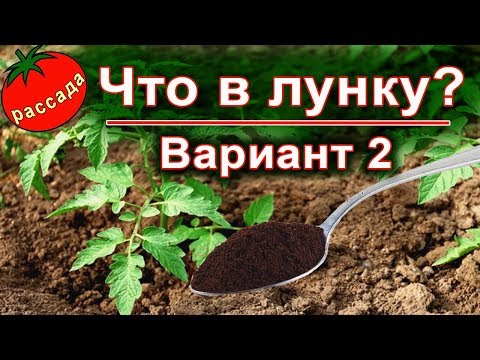 Видео: ЧТО КЛАСТЬ В ЛУНКИ ПРИ ПОСАДКЕ 2020.  ВАРИАНТ 2.