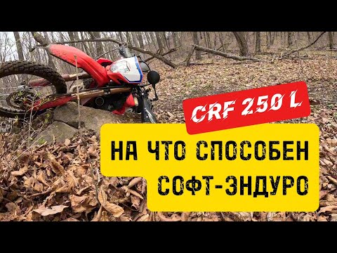 Видео: HONDA CRF250L, или на что способен СОФТ-ЭНДУРО/дуал-спорт в лесу