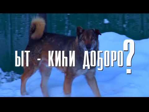 Видео: ЫТ КИhИ ДО5ОРО?