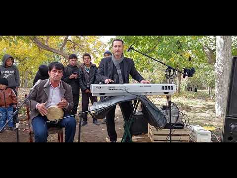 Видео: Дустмурод Холов суруди Бевафо ёрам