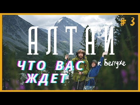 Видео: НАШ ПЕРВЫЙ ПОХОД ПО АЛТАЮ! ГЛАВНАЯ ФИШКА ЭТИХ МЕСТ - Маршрут к подножию Белухи