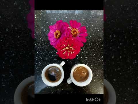 Видео: "Осіння кава" Ярослав Рудан , музика Віктор Варварич