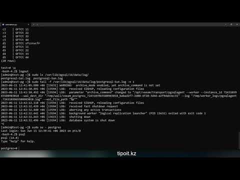 Видео: Резервное копирование PostgreSQL с помощью Veeam Backup and Replication