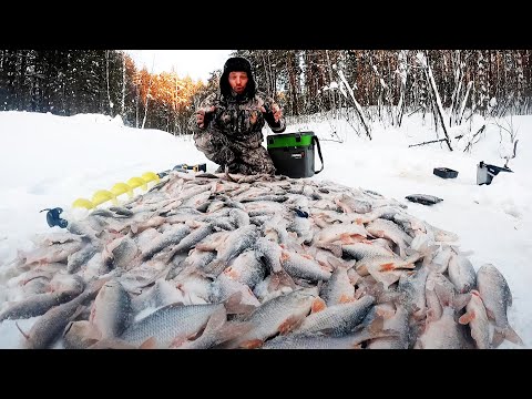 Видео: Супер-секретные рыболовные места...