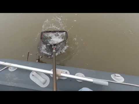 Видео: 23 июня 2025 г.