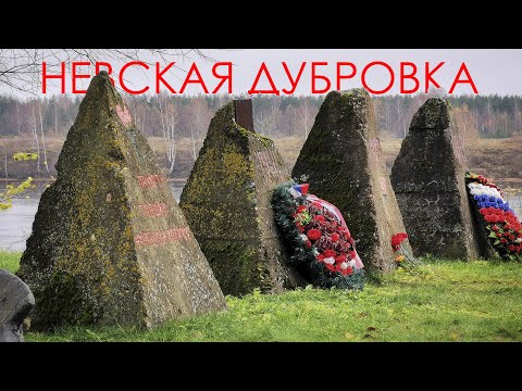 Видео: Невская Дубровка и Кировск на велосипедах