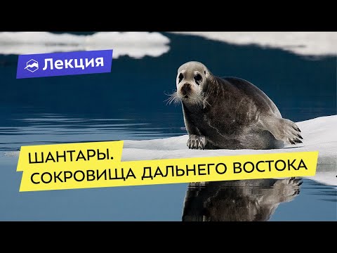 Видео: Шантары. Сокровища Дальнего Востока
