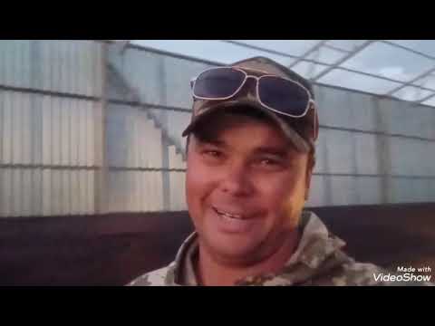 Видео: Обзор за неделю 👍