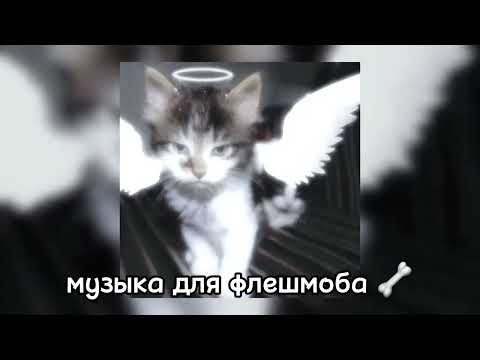 Видео: Музыка для флешмоба 🦴 ~ песни из тик тока ~