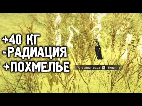 Видео: Я ИСКАЛ ЭТОТ АРТЕФАКТ 2 ЧАСА - STALKER 2 Сердце Чернобыля #19