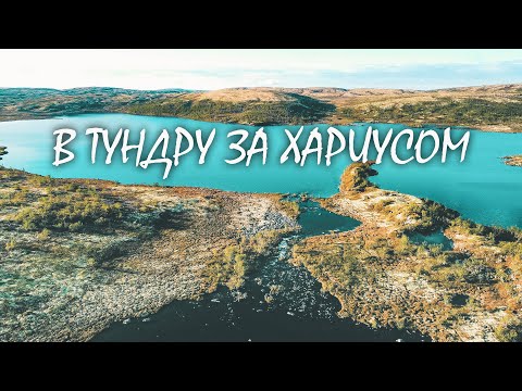 Видео: ВОТ ЭТО КРАСОТА! РЫБАЛКА В ТУНДРЕ. ПОЙМАЛИ ПЕРВЫХ ХАРИУСОВ. АЭРОСЪЕМКА | FISHING FOR BIG GRAYLING