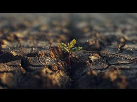 Видео: Лень или психическая инкубация? Гид по периодам затишья и силе бездействия.