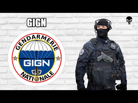 Видео: Стрелковое оружие французского спецназа GIGN