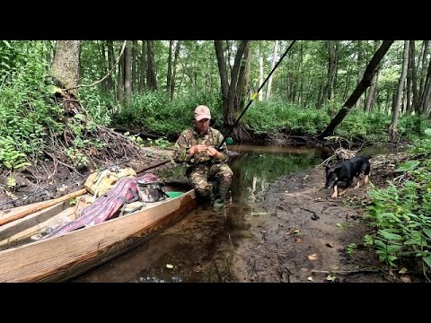 Видео: Риболовля на пересихаючому Стоході: Ловимо окунів, щуки і ділимося лайфхаками