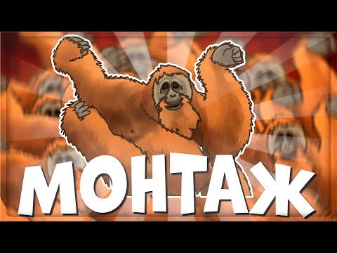 Видео: ДЕБЕ-НЕ-НЕХА - МОНТАЖ | (ЯРОС, РУДИ, СОСИДЖ, АЙК)