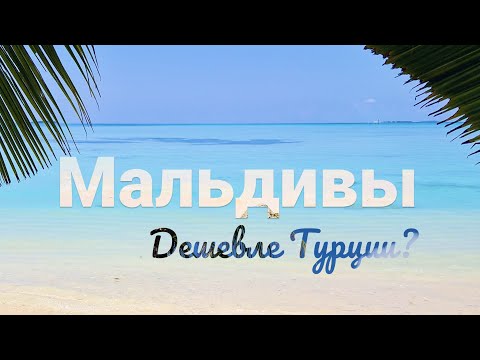 Видео: Доступные Мальдивы | Цены, жилье, пляжи, акулы