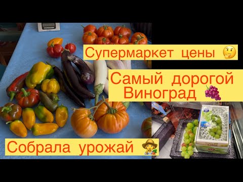 Видео: КАКИЕ ЦЕНЫ В СУПЕРМАРКЕТЕ 🤔 СОБРАЛА УРОЖАЙ 🍅🌶️🍆САМЫЙ ДОРОГОЙ ВИНОГРАД 🍇😮